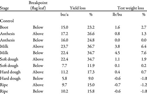 weight of wheat test